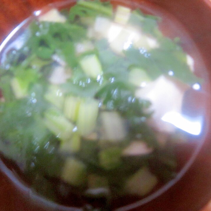 水菜と春菊の椎茸コンソメスープ